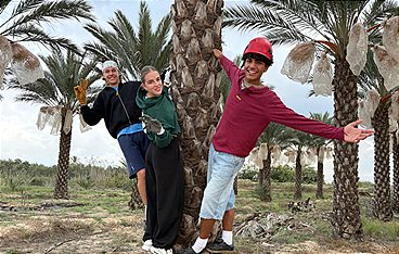 Die Mixed-WG - Ab nach Alicante