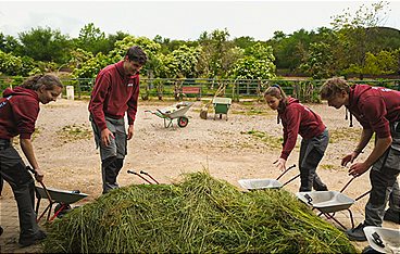 Elefant, Tiger & Kids: Zoo-Praktikum Backstage