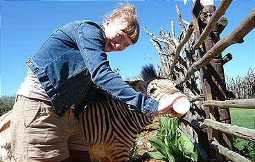 Paula und die wilden Tiere