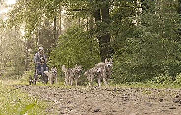 Schau in meine Welt!