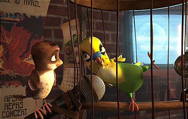 Überflieger - Kleine Vögel, großes Geklapper