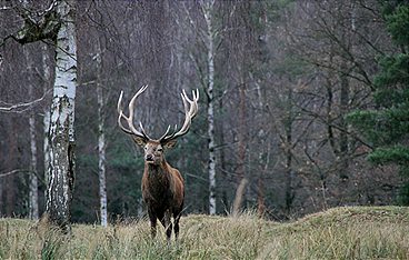 Nationalparks, die Sie kennen sollten