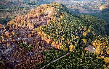 Visionäre von Bad Schandau