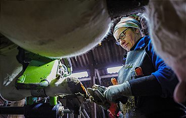 Die Nordreportage