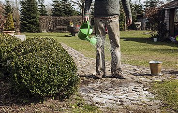 Rasch durch den Garten