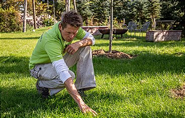 Rasch durch den Garten
