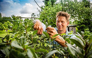Rasch durch den Garten