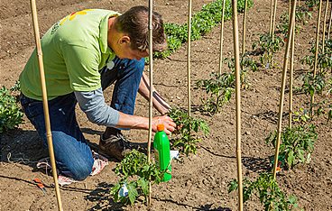 Rasch durch den Garten