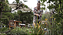  „Von Hecke zu Hecke – Bunte Beetgeschichten“ - Bild