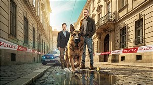 Rex is back! Das TV-Comeback des Jahres - Bild