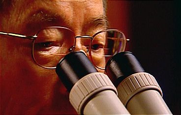 Medical Detectives - Geheimnisse der Gerichtsmedizin