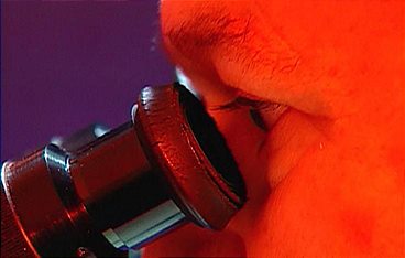 Medical Detectives - Geheimnisse der Gerichtsmedizin