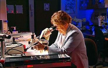 Medical Detectives - Geheimnisse der Gerichtsmedizin