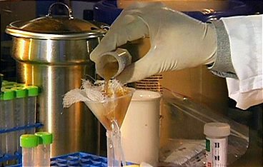 Medical Detectives - Geheimnisse der Gerichtsmedizin