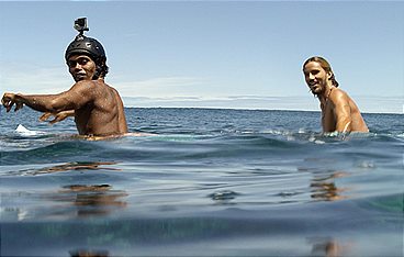 The Shallows - Gefahr aus der Tiefe