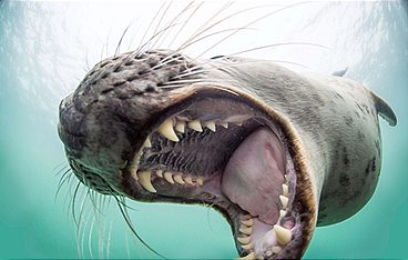 Lost Places - Mysteriöse Inseln