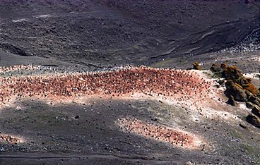 Mysteriöse Phänomene - Rätsel von oben