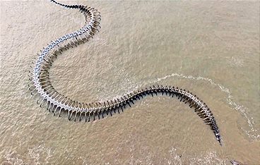 Mysteriöse Phänomene - Rätsel von oben