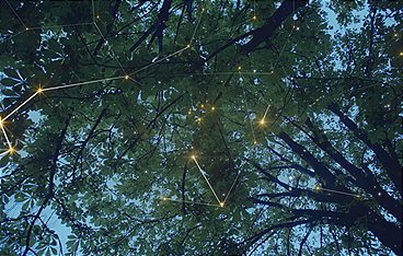 Sind wir allein im Universum?