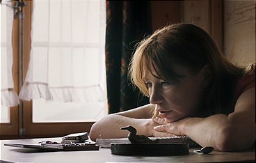 Animals - Stadt Land Tier