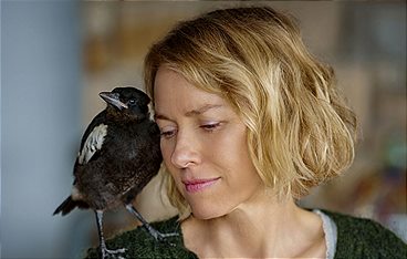 Beflügelt - Ein Vogel namens Penguin Bloom