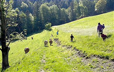 Die Abenteuerchecker