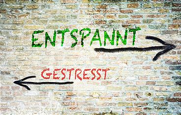 Die Wahrheit über