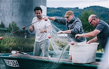 Fisch ahoi! Das Meer braucht eine Pause
