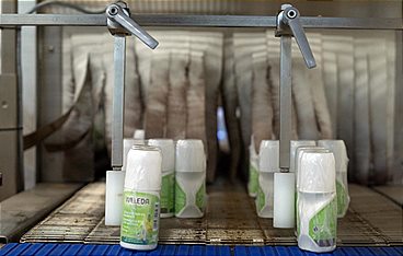 "Grüne" Marken - alles nur Schwindel?