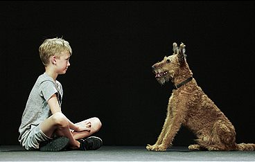 Hund und Mensch - Das Geheimnis einer Freundschaft