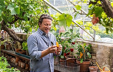 Jamie Oliver: Jahreszeiten