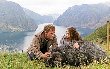 Kleine Ziege, sturer Bock