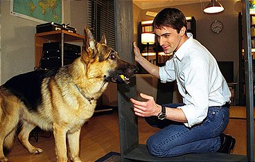 Kommissar Rex