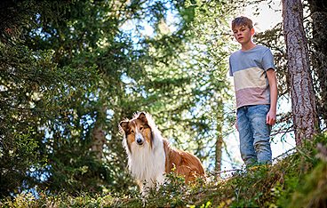 Lassie 2 - Ein neues Abenteuer