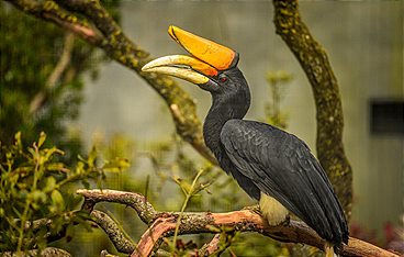 Zoo und so - Tierisch wild!