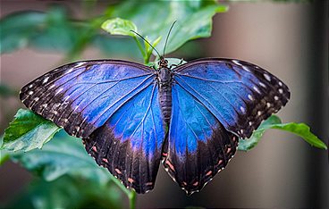 Zoo und so - Tierisch wild!