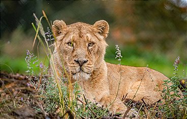 Zoo und so - Tierisch wild!