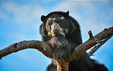 Zoo und so - Tierisch wild!
