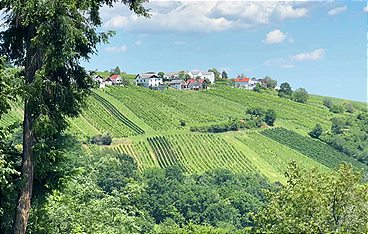 Abenteuer im Naturpark