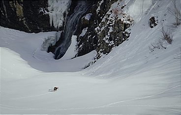 Arlberg - Wild und Weltberühmt