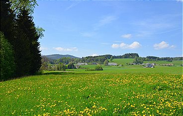 Aufgetischt