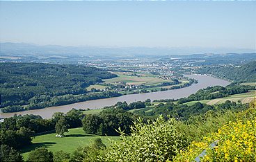 Aufgetischt