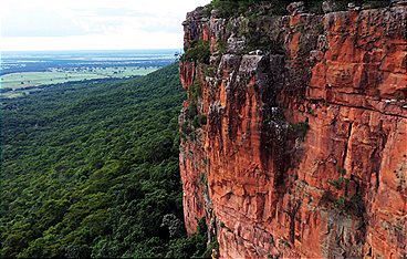 Das Pantanal - Brasiliens geheimnisvolle Wasserwelt
