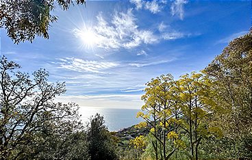 Das Paradies in der Ferne