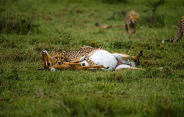 Ein Jahr auf unserer Erde - Frühling