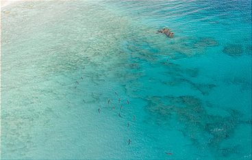 Ein Jahr auf unserer Erde - Winter