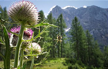 Faszination Europa (1) - Majestätische Berge