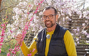 Natur im Garten