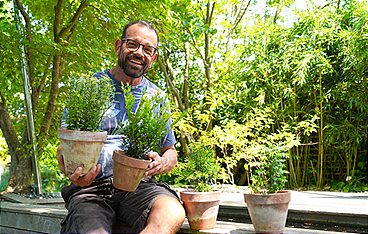 Natur im Garten