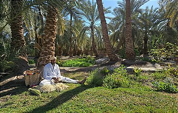 Oasen - Quellen des Lebens